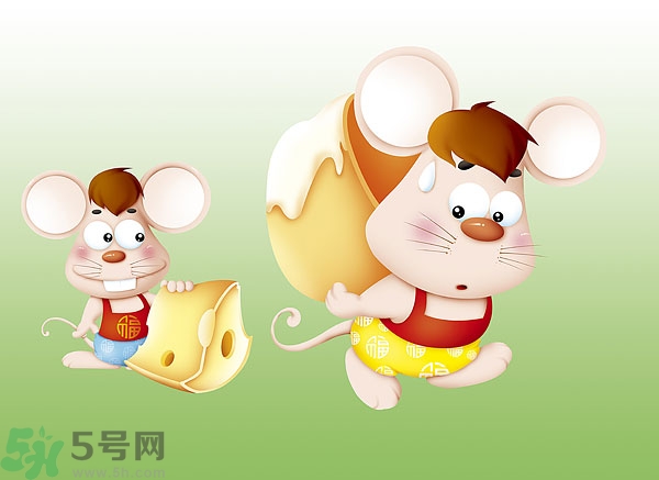 吃奶酪會過敏嗎？芝士是發(fā)物嗎？