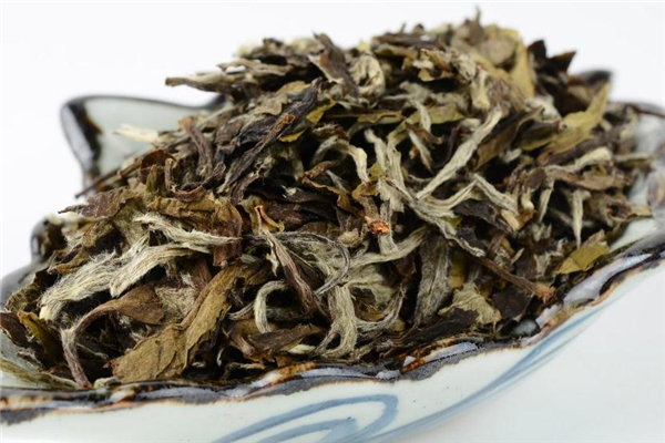 老白茶的功效與作用 營(yíng)養(yǎng)價(jià)值豐富 老白茶的功效與作用 營(yíng)養(yǎng)價(jià)值豐富