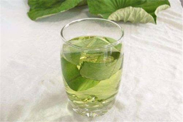 荷葉可以和決明子一起泡水嗎 決明子的功效 荷葉可以和決明子一起泡水嗎 決明子的功效