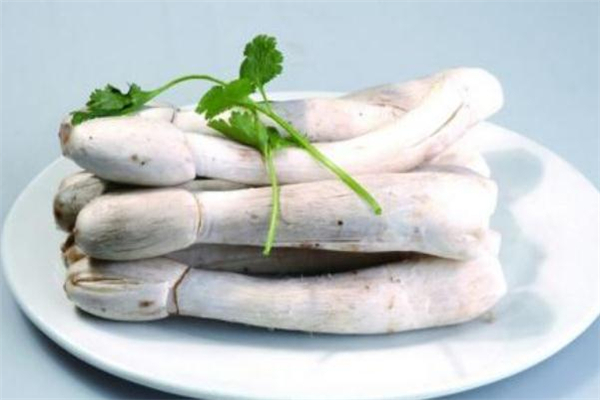 雞腿菇熱量高嗎 不要吃太多 雞腿菇熱量高嗎 不要吃太多