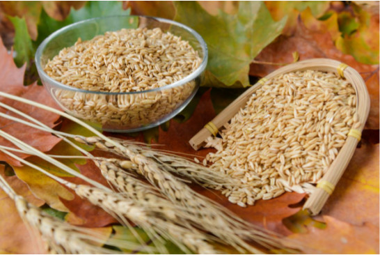 身體差怎么補(bǔ)？雜糧、豆類(lèi)和湯臣倍健蛋白粉