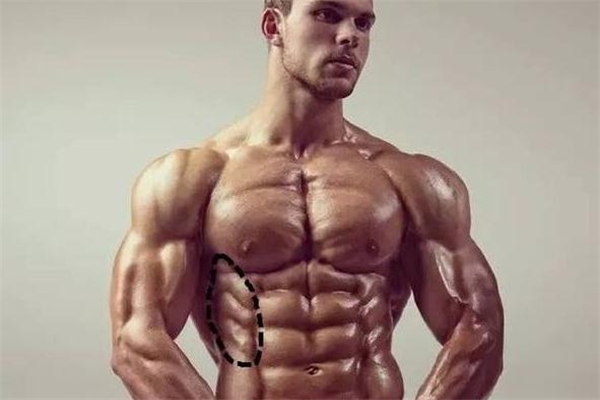 鯊魚線怎么練 鯊魚線練什么動(dòng)作