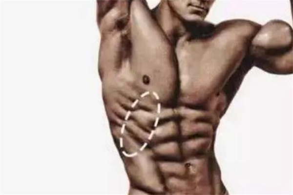 鯊魚(yú)線人魚(yú)線哪個(gè)更難練 鯊魚(yú)線和人魚(yú)線的區(qū)別