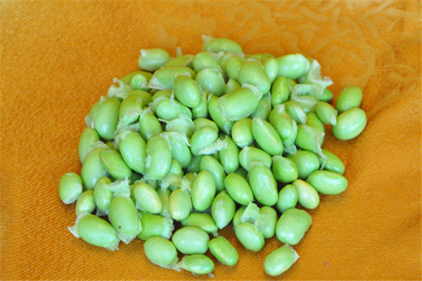煮毛豆的竅門(mén)做法是什么 毛豆這樣煮保持綠色 煮毛豆的竅門(mén)做法是什么 毛豆這樣煮保持綠色