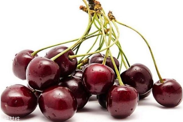 車?yán)遄釉趺闯宰钣袪I養(yǎng) 車?yán)遄拥牟煌苑?><p><strong>車?yán)遄釉趺闯宰钣袪I養(yǎng) 車?yán)遄拥牟煌苑?/strong></p></a></li> 	     </ul>
		</div>
	   <div   id=