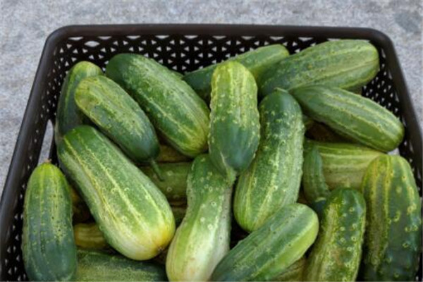 吃什么蔬菜最補(bǔ)血 蔬菜這樣吃補(bǔ)血 吃什么蔬菜最補(bǔ)血 蔬菜這樣吃補(bǔ)血