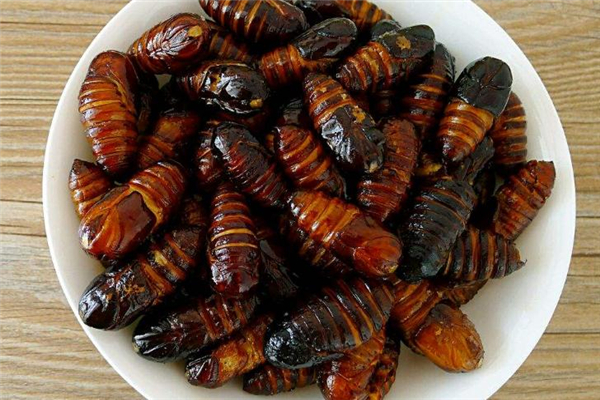 哺乳期能吃蠶蛹嗎 有助于恢復(fù) 哺乳期能吃蠶蛹嗎 有助于恢復(fù)