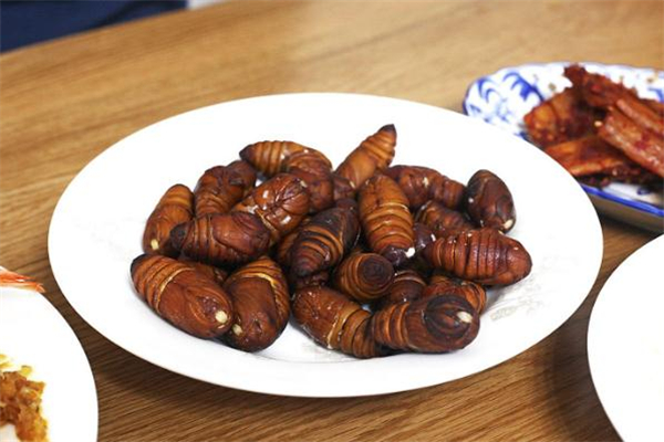 蠶蛹哪個(gè)不能吃 蠶蛹吃多了有什么副作用