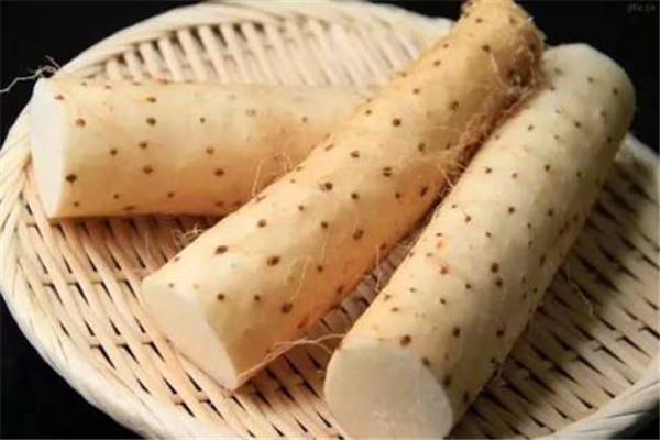 山藥是涼性的嗎 山藥是什么食物 山藥是涼性的嗎 山藥是什么食物
