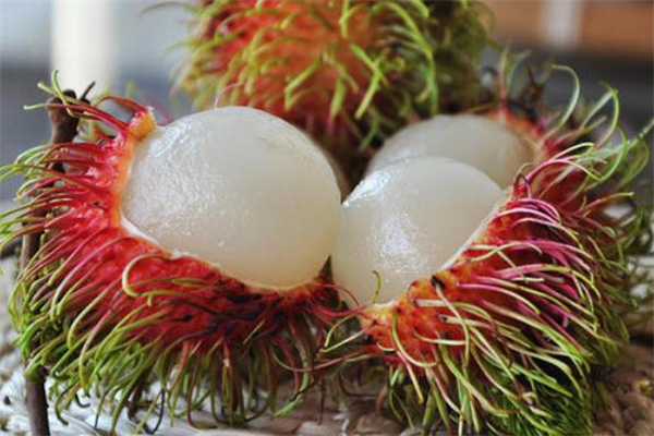 吃紅毛丹可以喝酸奶嗎 紅毛丹和酸奶能一起吃嗎 吃紅毛丹可以喝酸奶嗎 紅毛丹和酸奶能一起吃嗎