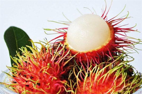 哺乳期可以吃紅毛丹嗎 哺乳期吃紅毛丹會(huì)回奶嗎 哺乳期可以吃紅毛丹嗎 哺乳期吃紅毛丹會(huì)回奶嗎