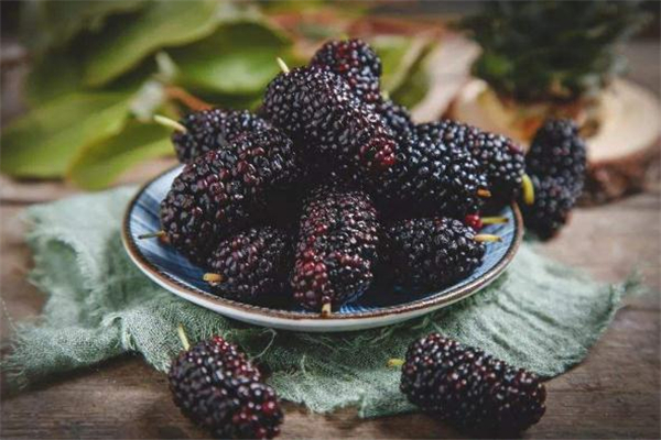 坐月子可以吃桑葚嗎 坐月子吃桑葚的好處 坐月子可以吃桑葚嗎 坐月子吃桑葚的好處