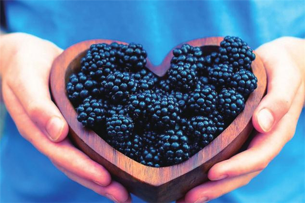 坐月子可以吃桑葚嗎 坐月子吃桑葚的好處 坐月子可以吃桑葚嗎 坐月子吃桑葚的好處