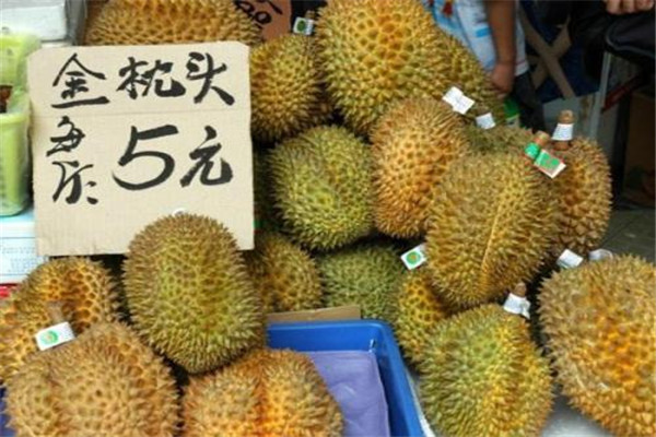 榴蓮能放多久 榴蓮可以多吃嗎 榴蓮能放多久 榴蓮可以多吃嗎