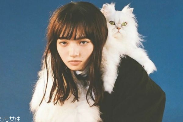 厭世臉是什么意思 厭世臉的特征 厭世臉是什么意思 厭世臉的特征