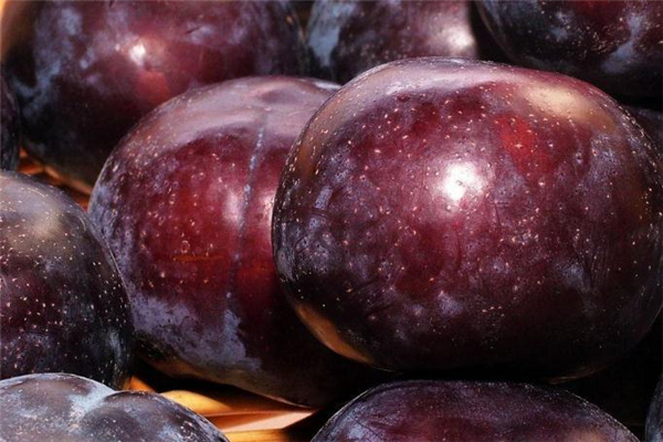 黑布林一天可以吃幾個 黑布林一天最多吃幾個 黑布林一天可以吃幾個 黑布林一天最多吃幾個