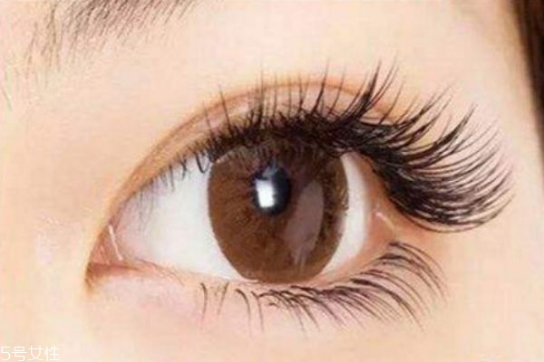 嫁接睫毛怎么洗臉 嫁接睫毛后洗臉方法 嫁接睫毛怎么洗臉 嫁接睫毛后洗臉方法