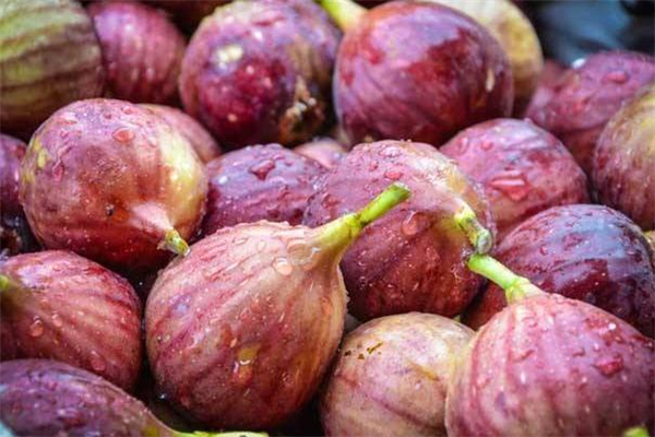 無花果過敏是什么癥狀 吃無花果過敏了怎么辦 無花果過敏是什么癥狀 吃無花果過敏了怎么辦