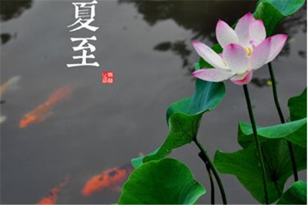 夏至應(yīng)該吃什么 夏至節(jié)氣吃什么對身體好 夏至應(yīng)該吃什么 夏至節(jié)氣吃什么對身體好