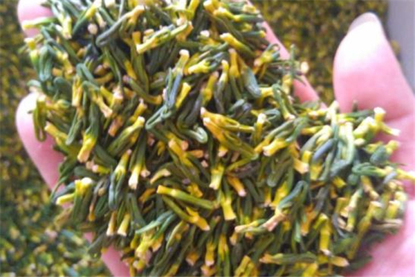 蓮子心泡水可以天天喝嗎 經常喝蓮子心泡水好嗎