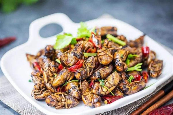 知了猴有寄生蟲(chóng)嗎 知了猴有寄生蟲(chóng)怎么處理