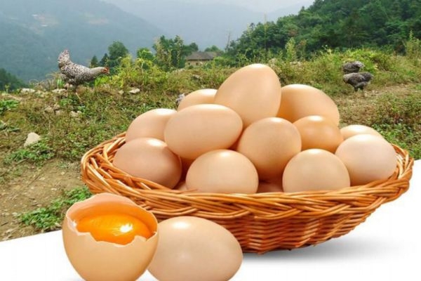 土雞蛋真的更有營(yíng)養(yǎng)嗎 土雞蛋比普通雞蛋更有營(yíng)養(yǎng) 土雞蛋真的更有營(yíng)養(yǎng)嗎 土雞蛋比普通雞蛋更有營(yíng)養(yǎng)