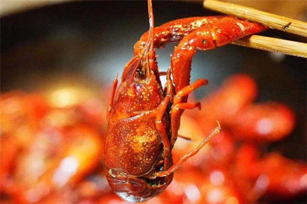 小龍蝦過油好還是過水好 小龍蝦過油要多長時(shí)間