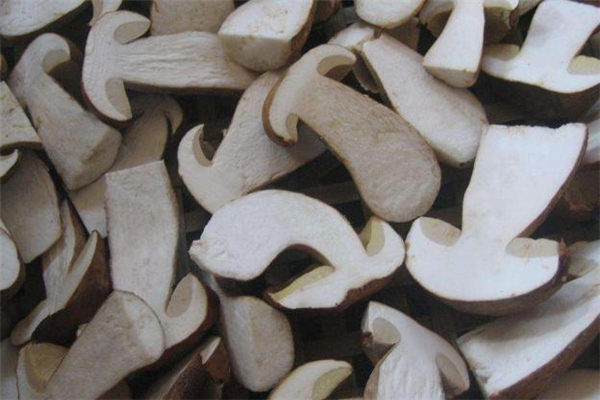 牛肝菌有人工種植的嗎 牛肝菌人工種植技術