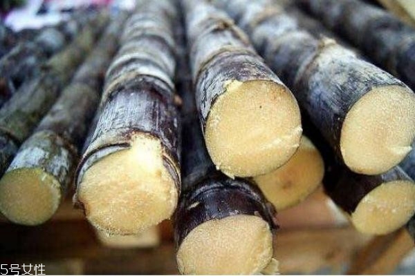 甘蔗吃多少合適 甘蔗好吃但要有節(jié)制 甘蔗吃多少合適 甘蔗好吃但要有節(jié)制