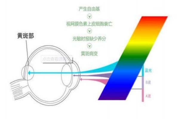 怎么樣預(yù)防近視 手機(jī)是否真的危害眼睛