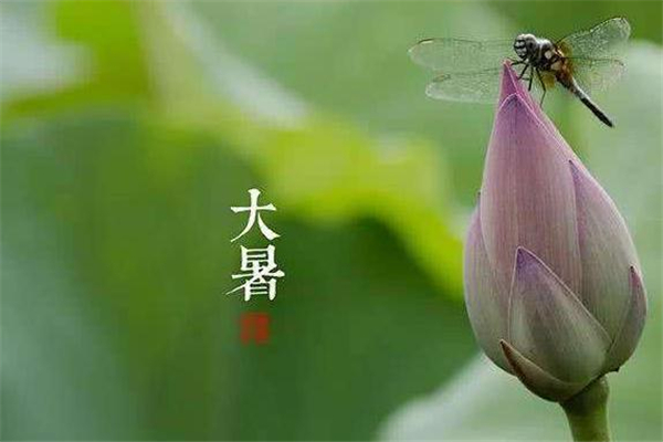 大暑有什么風(fēng)俗 大暑有什么講究 大暑有什么風(fēng)俗 大暑有什么講究