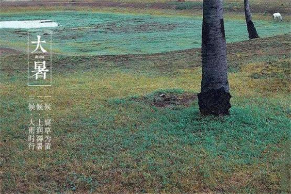 大暑有什么風(fēng)俗 大暑有什么講究 大暑有什么風(fēng)俗 大暑有什么講究