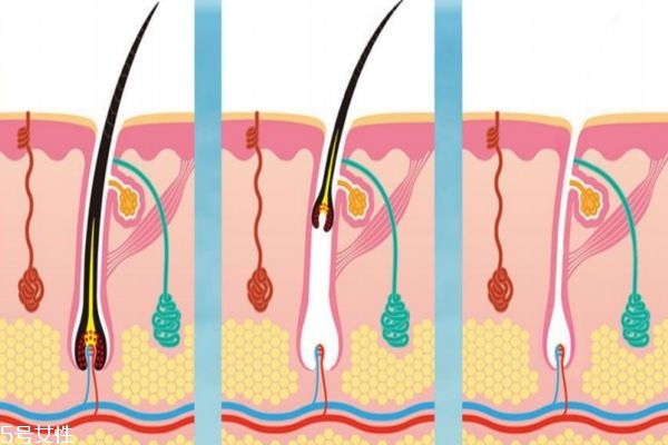 女性吃牛肉會(huì)容易長(zhǎng)胡子嗎 女性吃什么容易長(zhǎng)胡子 女性吃牛肉會(huì)容易長(zhǎng)胡子嗎 女性吃什么容易長(zhǎng)胡子