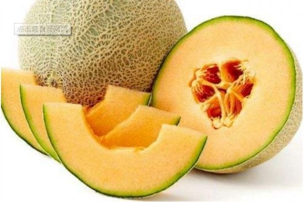 常吃哈密瓜會變胖嗎 哈密瓜的含糖量高嗎 常吃哈密瓜會變胖嗎 哈密瓜的含糖量高嗎