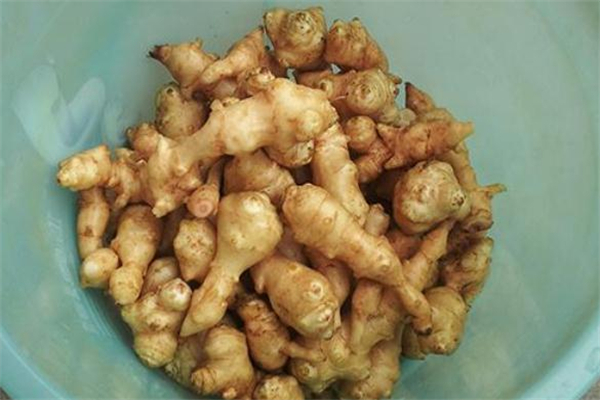 洋姜為什么會(huì)變黑 洋姜怎么腌制不發(fā)黑