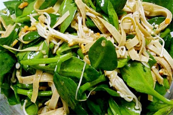 穿心蓮會導(dǎo)致腹瀉嗎 吃穿心蓮會拉肚子嗎 穿心蓮會導(dǎo)致腹瀉嗎 吃穿心蓮會拉肚子嗎