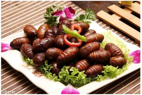 蠶蛹有什么功效呢 吃蠶蛹有什么好處呢 蠶蛹有什么功效呢 吃蠶蛹有什么好處呢