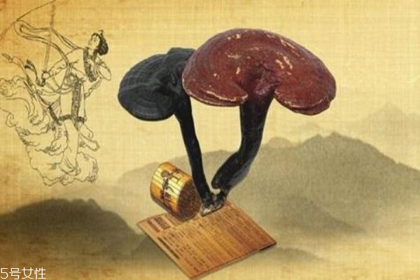 靈芝有什么功效呢 靈芝應(yīng)該怎么服用呢 靈芝有什么功效呢 靈芝應(yīng)該怎么服用呢