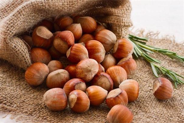榛子和開心果哪個熱量高 榛子和開心果哪個減肥