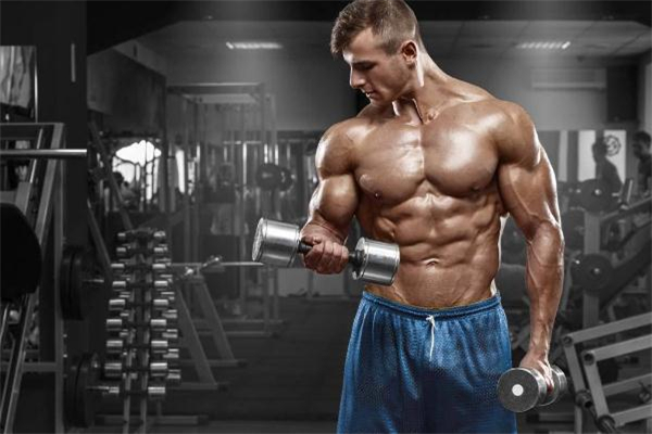 減脂和力量訓(xùn)練可以同時進行嗎 先減脂還是先力量訓(xùn)練