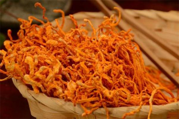 蟲草花能長(zhǎng)期吃嗎 蟲草花能長(zhǎng)期泡水喝嗎 蟲草花能長(zhǎng)期吃嗎 蟲草花能長(zhǎng)期泡水喝嗎