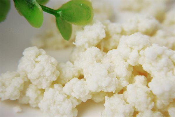 雪蓮菌泡牛奶能減肥嗎 喝雪蓮菌泡牛奶會(huì)胖嗎 雪蓮菌泡牛奶能減肥嗎 喝雪蓮菌泡牛奶會(huì)胖嗎