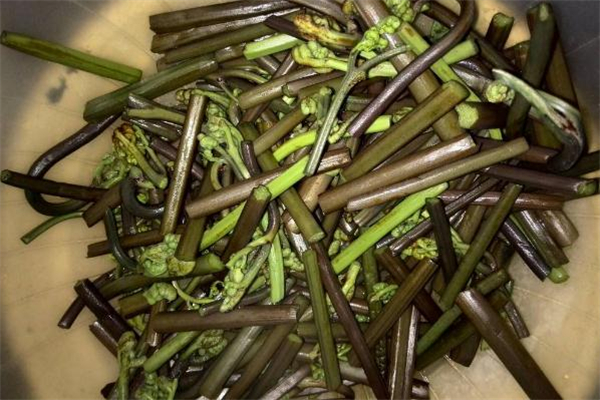 吃蕨菜過敏有什么癥狀 吃蕨菜過敏了怎么辦 吃蕨菜過敏有什么癥狀 吃蕨菜過敏了怎么辦