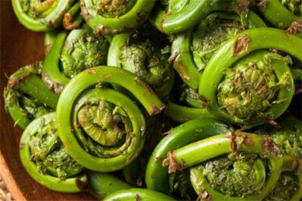 蕨菜可以包包子嗎 蕨菜包子的做法 蕨菜可以包包子嗎 蕨菜包子的做法