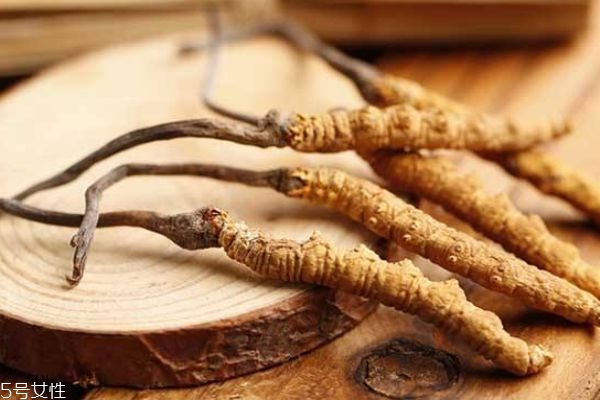 冬蟲(chóng)夏草生在在哪里呢 冬蟲(chóng)夏草的市場(chǎng)價(jià)格是多少呢