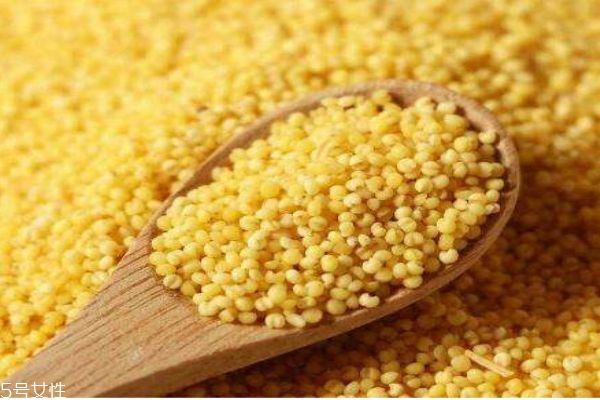 黃米有什么作用呢 吃黃米有什么好處呢 黃米有什么作用呢 吃黃米有什么好處呢