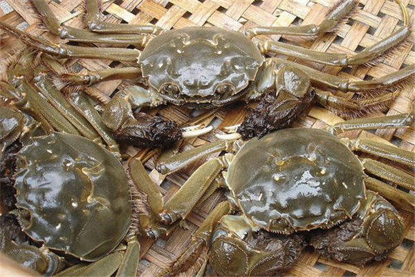 大閘蟹和大螃蟹的區(qū)別是什么 本質(zhì)上有區(qū)別 大閘蟹和大螃蟹的區(qū)別是什么 本質(zhì)上有區(qū)別