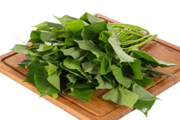 紅薯葉一般是幾月上市呢 紅薯葉有什么食用禁忌嗎 紅薯葉一般是幾月上市呢 紅薯葉有什么食用禁忌嗎