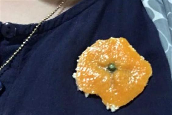 橘子皮胸針多少錢 橘子皮胸針在哪買 橘子皮胸針多少錢 橘子皮胸針在哪買