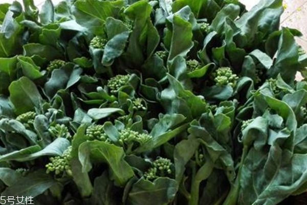 芥蘭多少錢一斤呢 芥蘭不能和什么一起吃呢 芥蘭多少錢一斤呢 芥蘭不能和什么一起吃呢